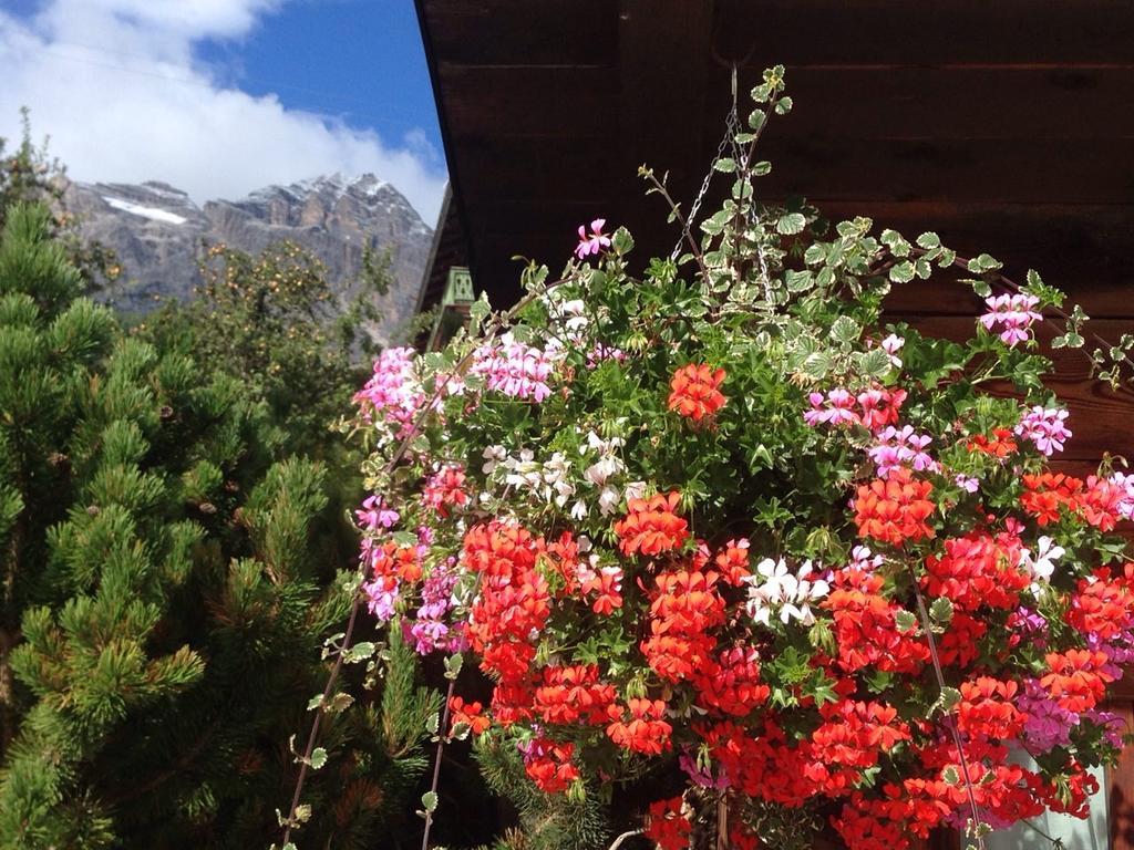 Hotel Villa Nevada Cortina d'Ampezzo Buitenkant foto